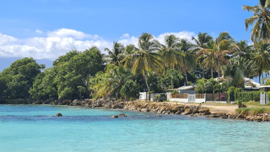 Apartmán T2 Calme Et Lumineux Au Coeur De Pointe-A-Pitre Exteriér fotografie